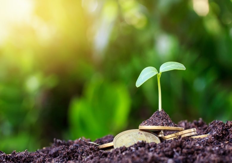 Saiba mais sobre a Licença Ambiental - Portal IC