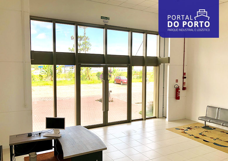 Luz natural melhora bem-estar e produtividade dos colaboradores - Portal IC